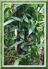 blog1