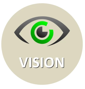 HSMV Logo